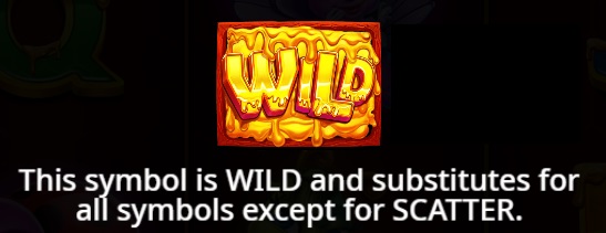 Wild Symbol