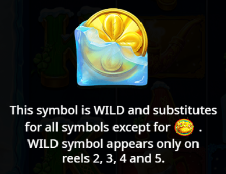 Wild Symbol