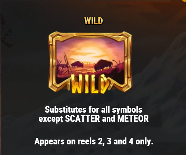 Wild Symbol