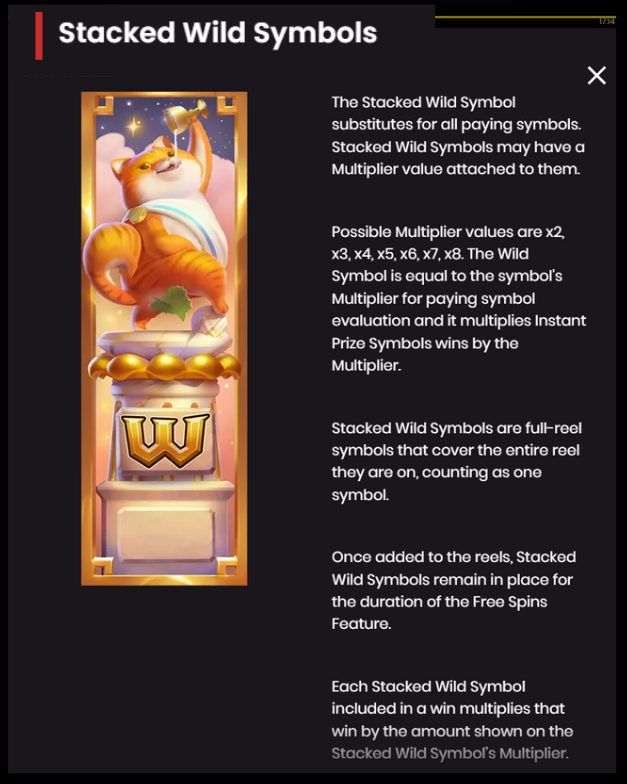 Stacked Wild Symbols