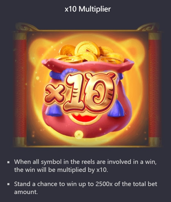 x10 Multiplier