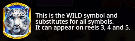 Wild Symbol