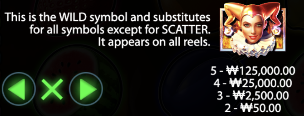 Wild Symbol