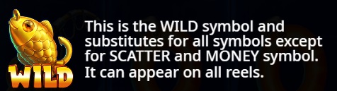 Wild Symbol