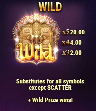 Wild Symbol
