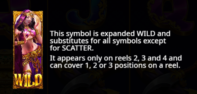 Expanded Wild Symbol