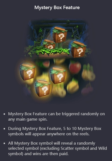 Mystery Box Feature