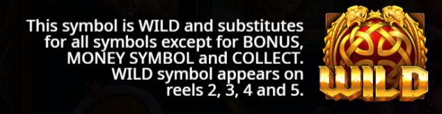 Wild Symbol