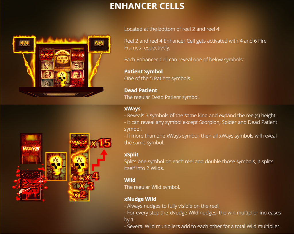 Enhancer Cells