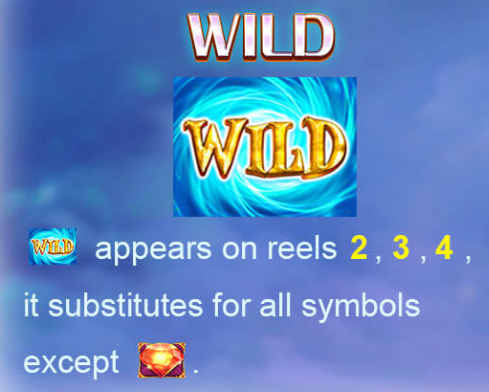 Wild Symbol