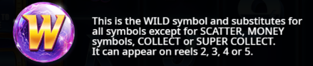 Wild Symbol