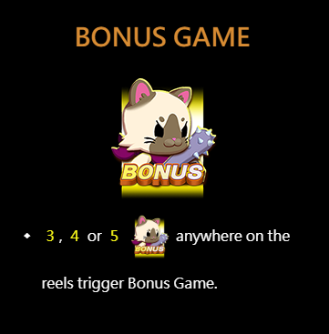 Bonus Game