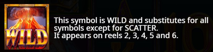 Wild Symbol