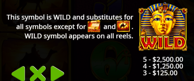 Wild Symbol