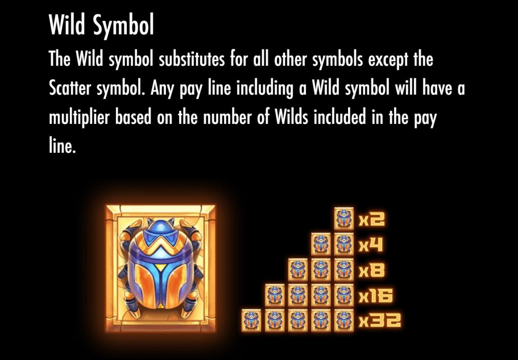 Wild Symbol