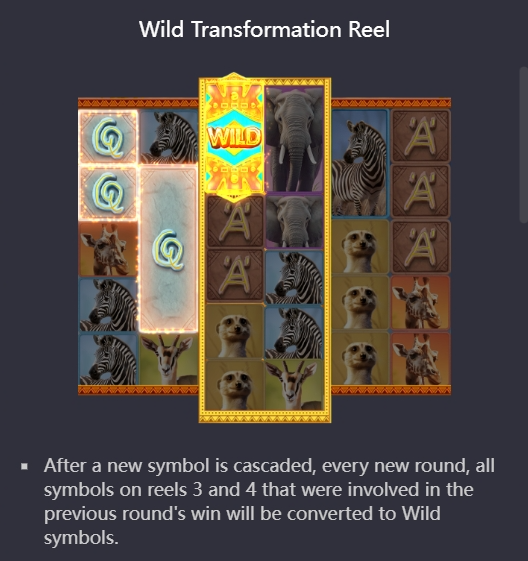 Wild Transformation Reel