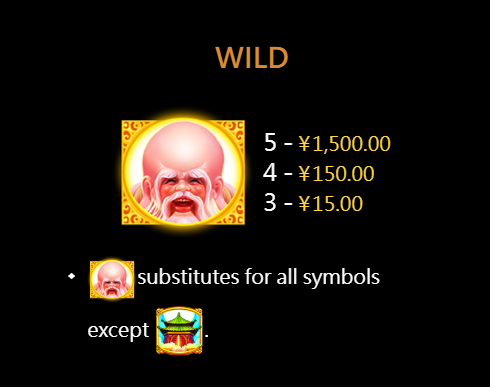 Wild Symbol