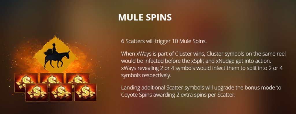 Mule Spins