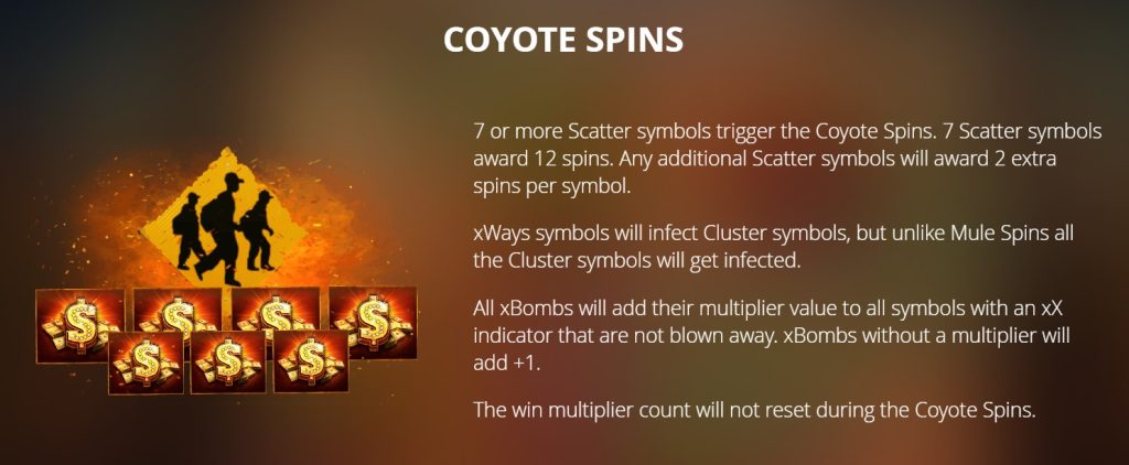 Coyote Spins