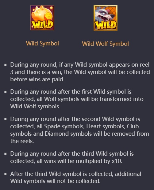 Wild Symbol Feature