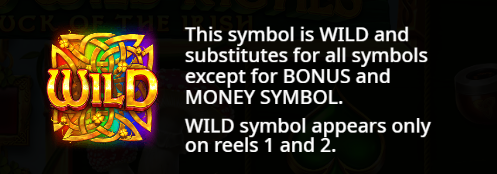 Wild Symbol