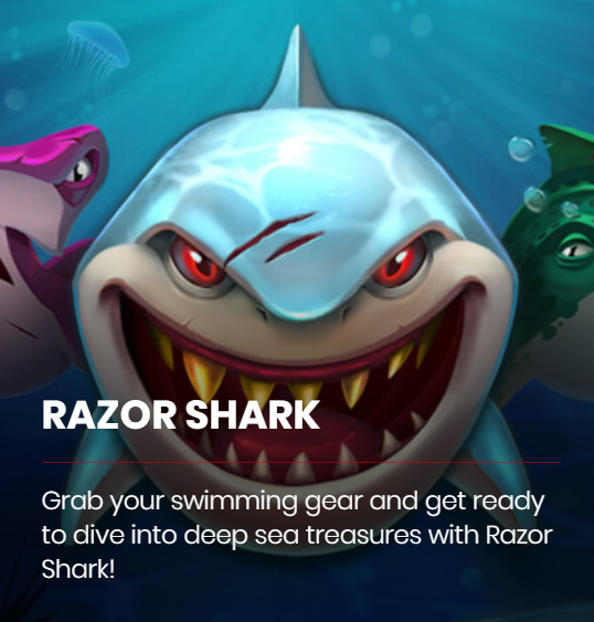 Razor Shark (레이저 샤크)