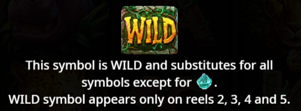 Wild Symbol