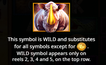 Wild Symbol