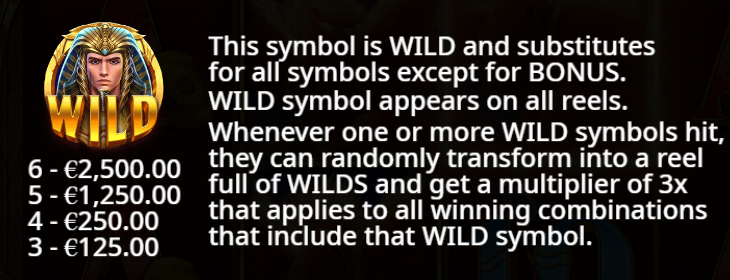 Wild Symbol