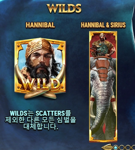 Wild Symbol