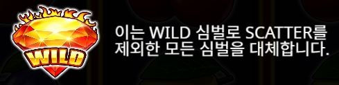 Wild Symbol