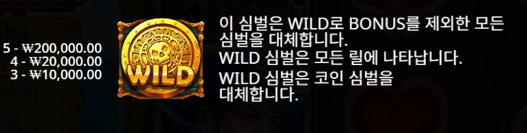 Wild Symbol