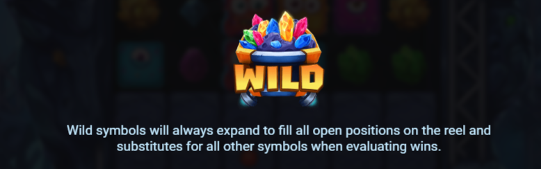 Wild Symbol