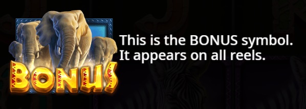Bonus Feature