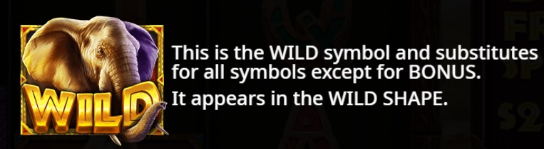 Wild Feature