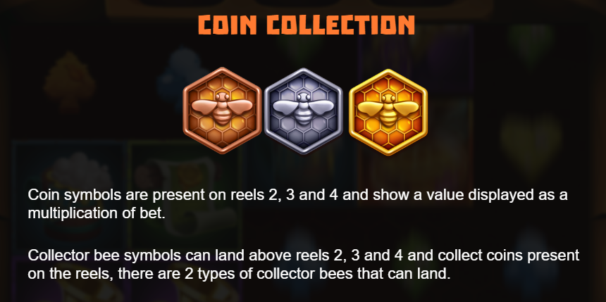 Coin Collection