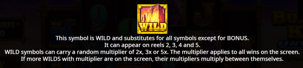 Wild Symbol