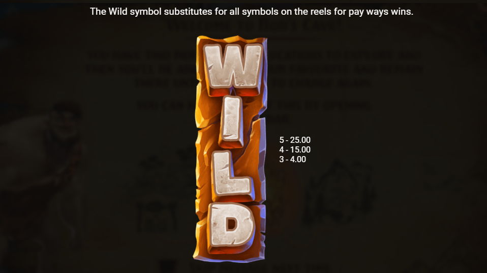 Wild Symbol