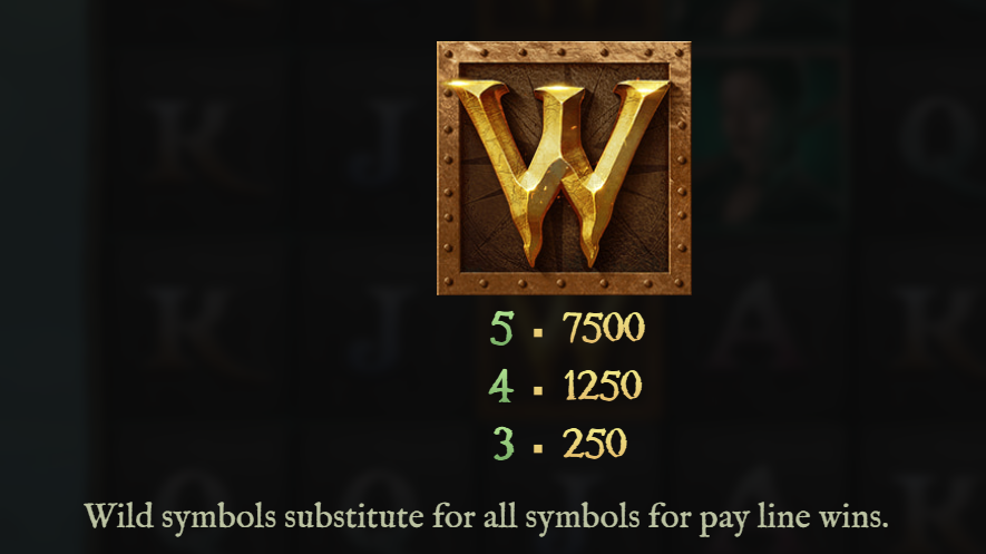 Wild Symbol