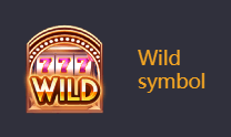 Wild Symbol