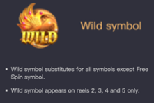Wild Symbol