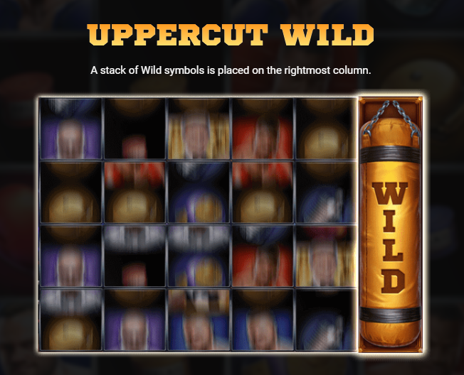 Uppercut Wild