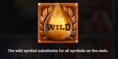 Wild Symbol
