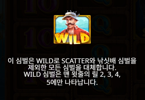 Wild Symbol