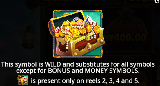 Wild Symbol