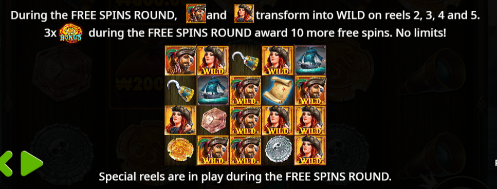 Free Spins Round