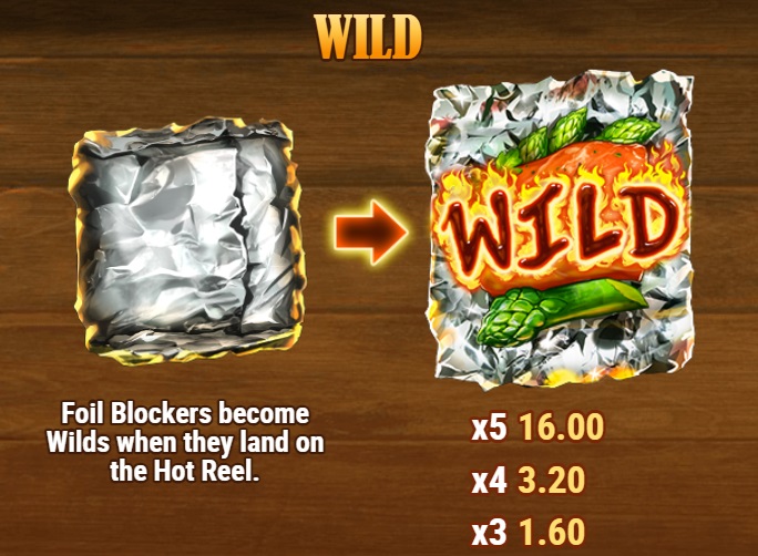 Wild Symbol Feature