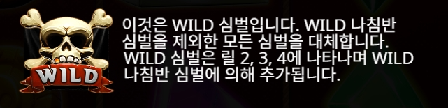 Wild Symbol