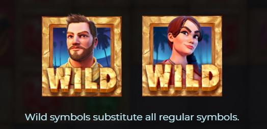 Wild Symbol