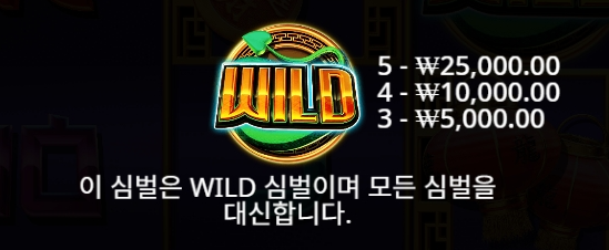 Wild Symbol